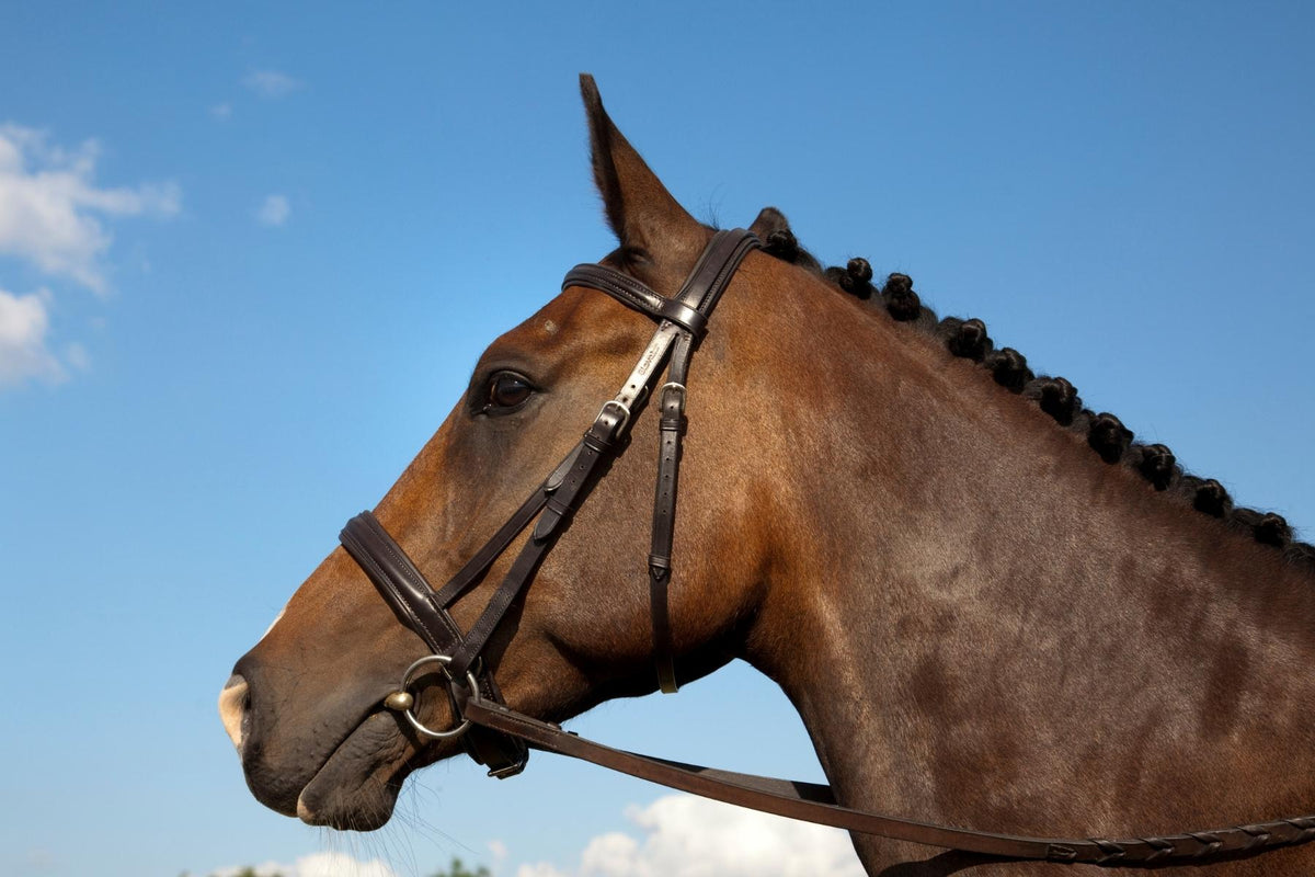 Making Braiding Easy with the Showmaster Braiding Comb with a Clip - Greg  Grant Saddlery 