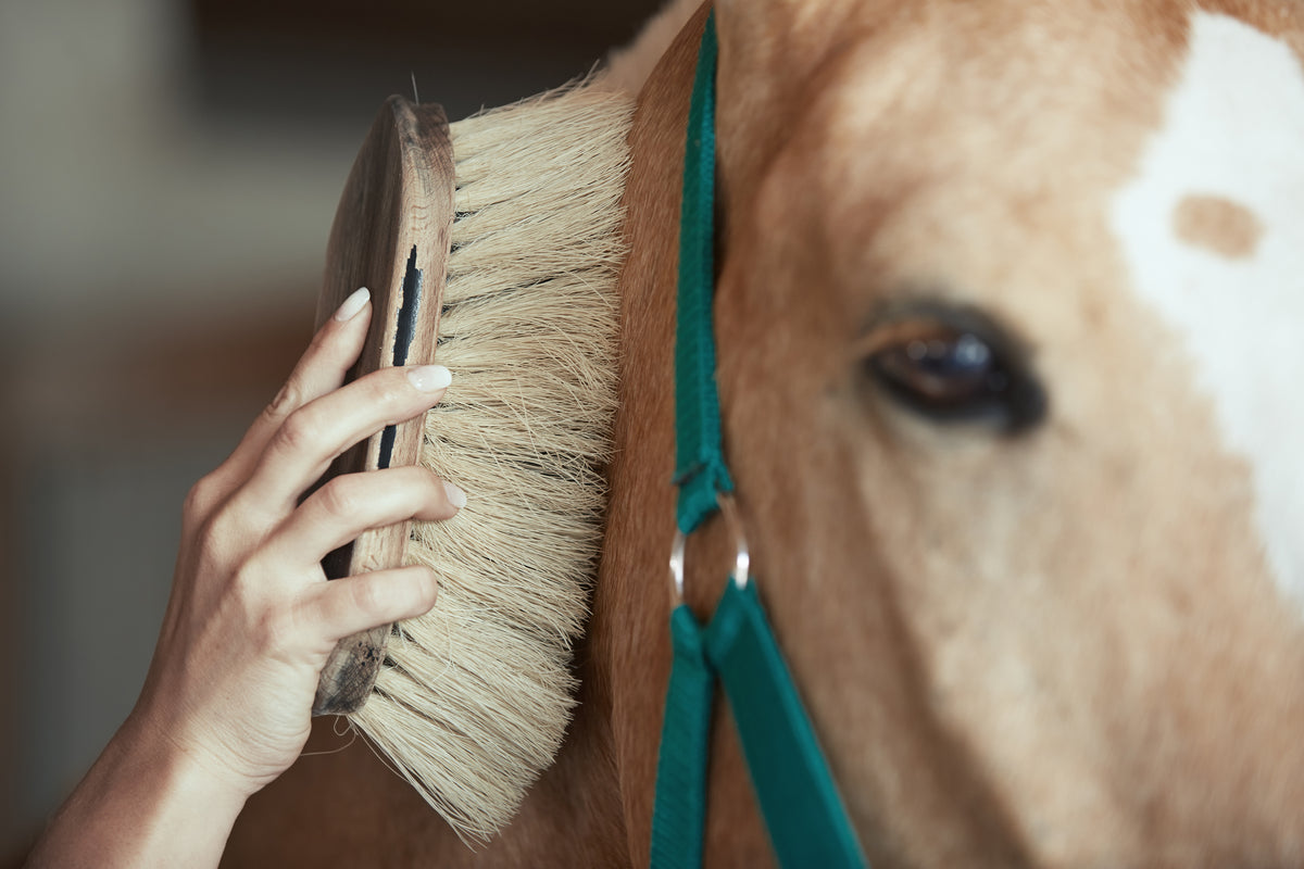 Making Braiding Easy with the Showmaster Braiding Comb with a Clip - Greg  Grant Saddlery 