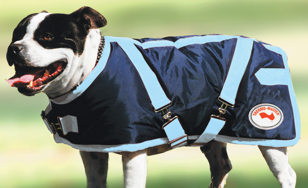 Thermomaster 2024 dog coat