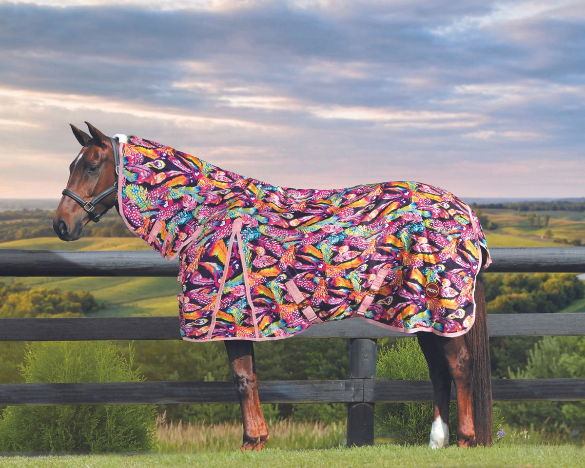 kozy-1200d-nylon-horse-rug-combo-feathers-horse-winter-rugs-greg