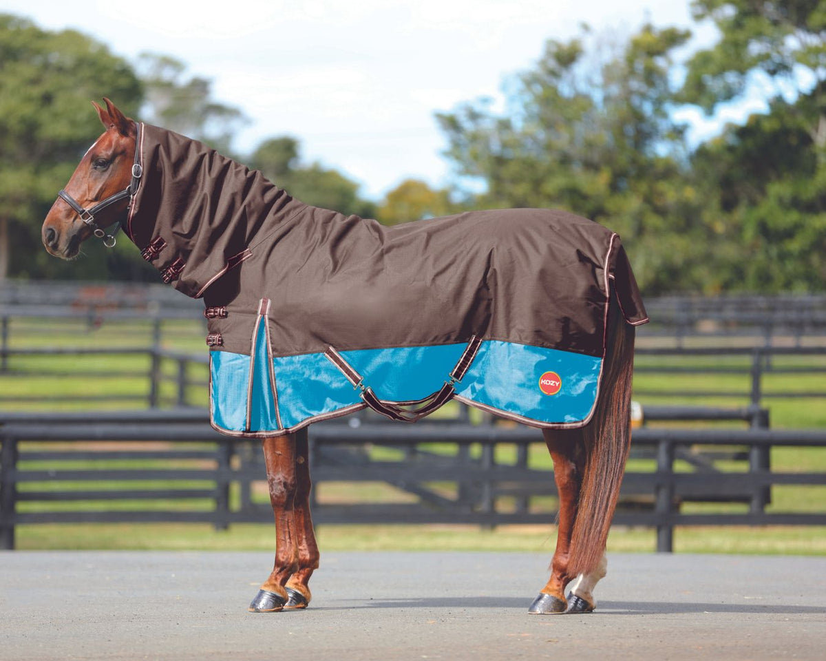 Kozy 1200D Ripstop Horse Rug Combo Chocolate & Turquoise Horse