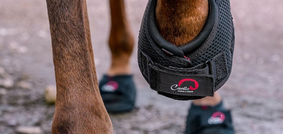 How to measure for Cavallo Boots