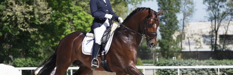 Pony Club Queensland: Dressage & Combined Training 