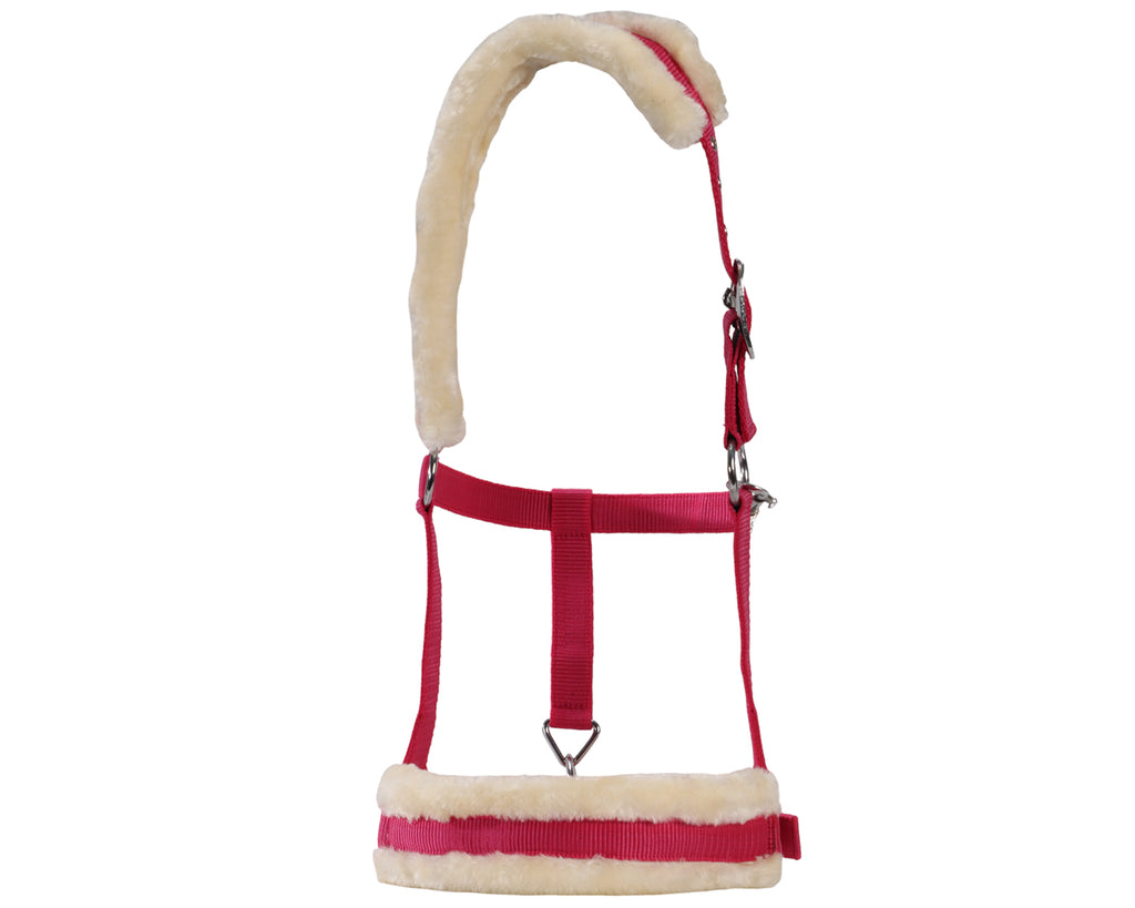 Bambino Nylon Halter w/Fleece