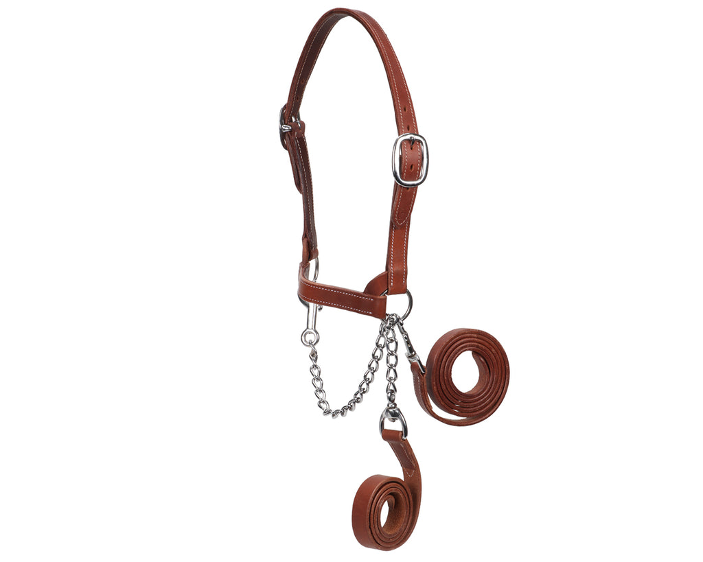 Fort Worth Show Cattle Halter - Harness