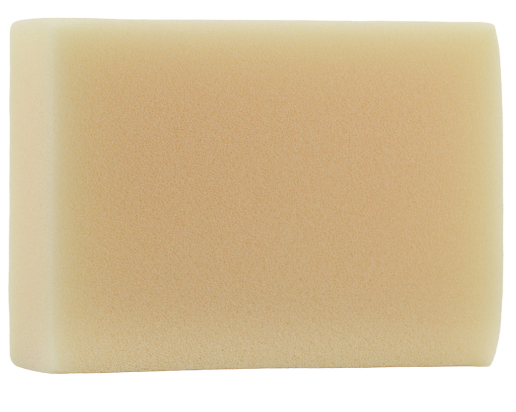 Carr & Day & Martin Tack Cleaning Sponge