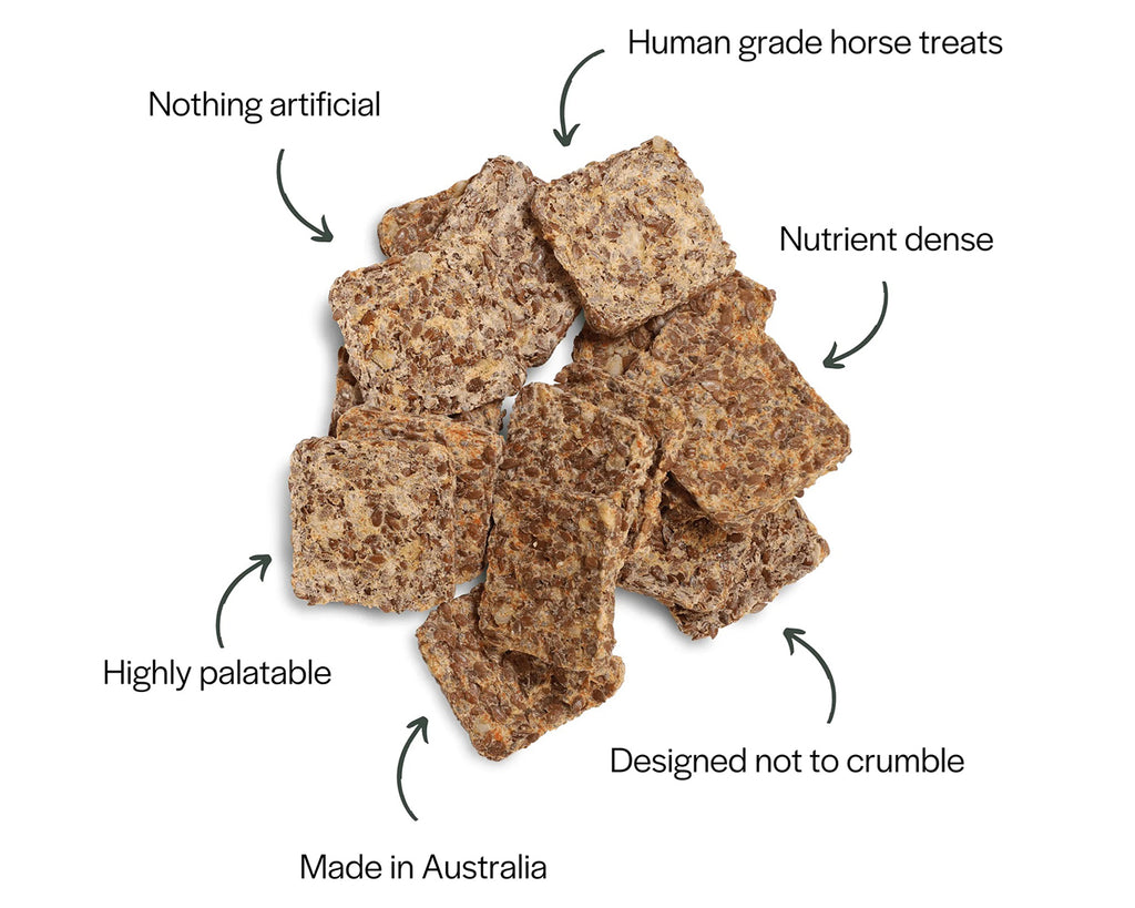 CuraHorse All Natural Nothing Naughty Horse Treats - 400g