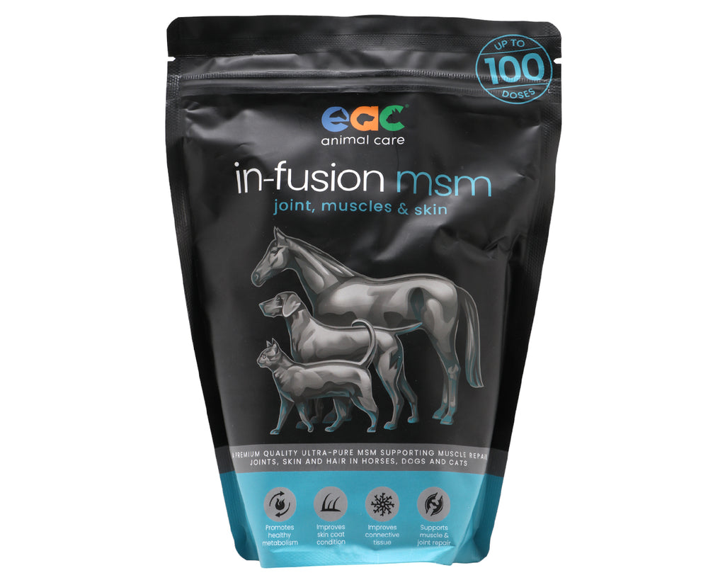 IN-FUSION MSM Joint Supplement - 1Kg