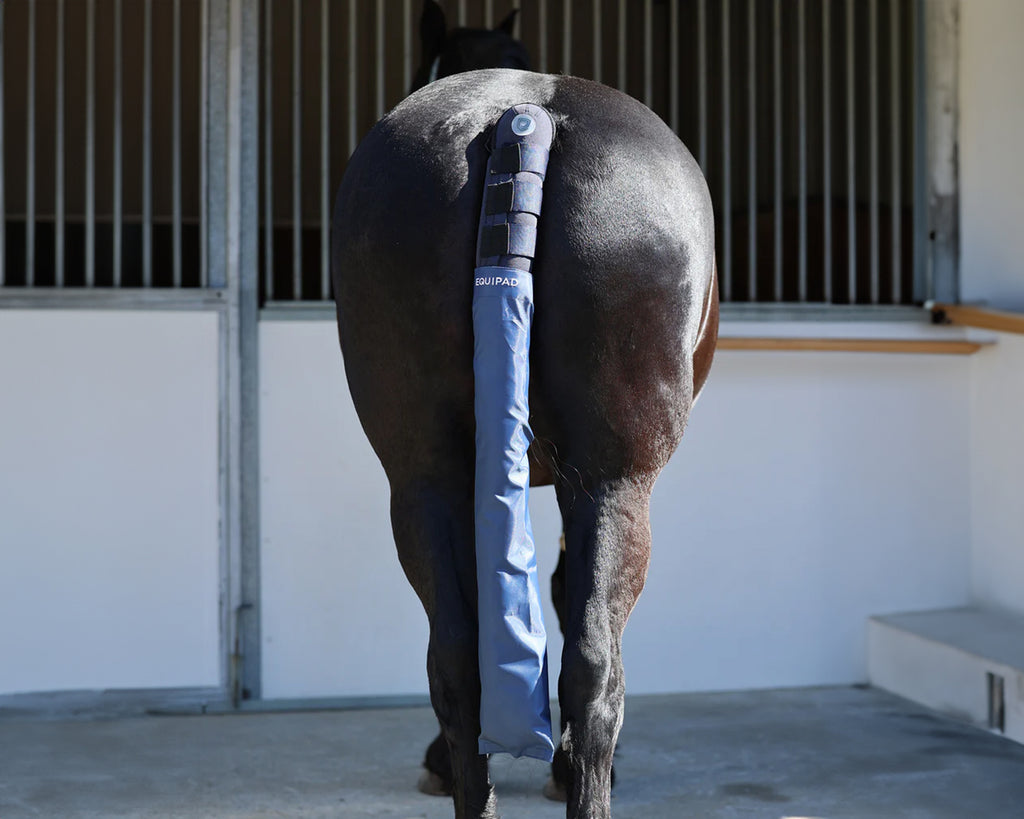 Equipad Tail Boot Bag - Navy