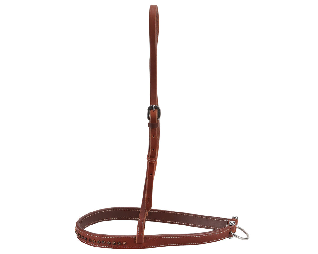 Fort Worth Abilene Tie Down - Harness