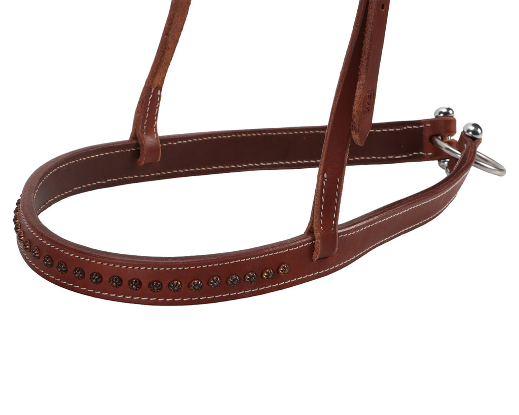 Fort Worth Abilene Tie Down - Harness