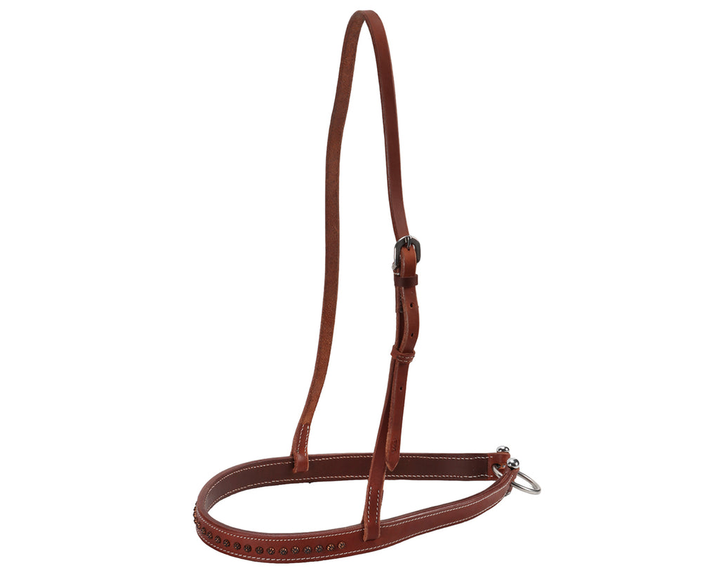 Fort Worth Abilene Tie Down - Harness