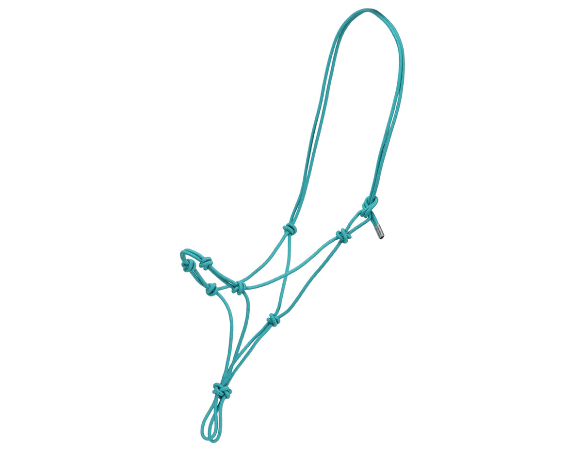 Fort Worth Clinician/Training Halter Turquoise | Halters & Lead Ropes