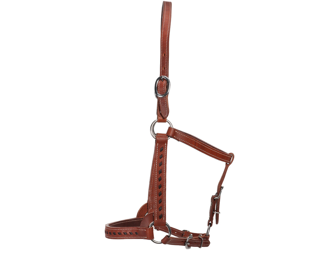 Fort Worth Mika Leather Halter- Brown Buckstitched