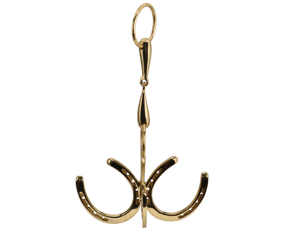 Brass Horseshoe & Bit Wall Hooks for a equestrian themed household