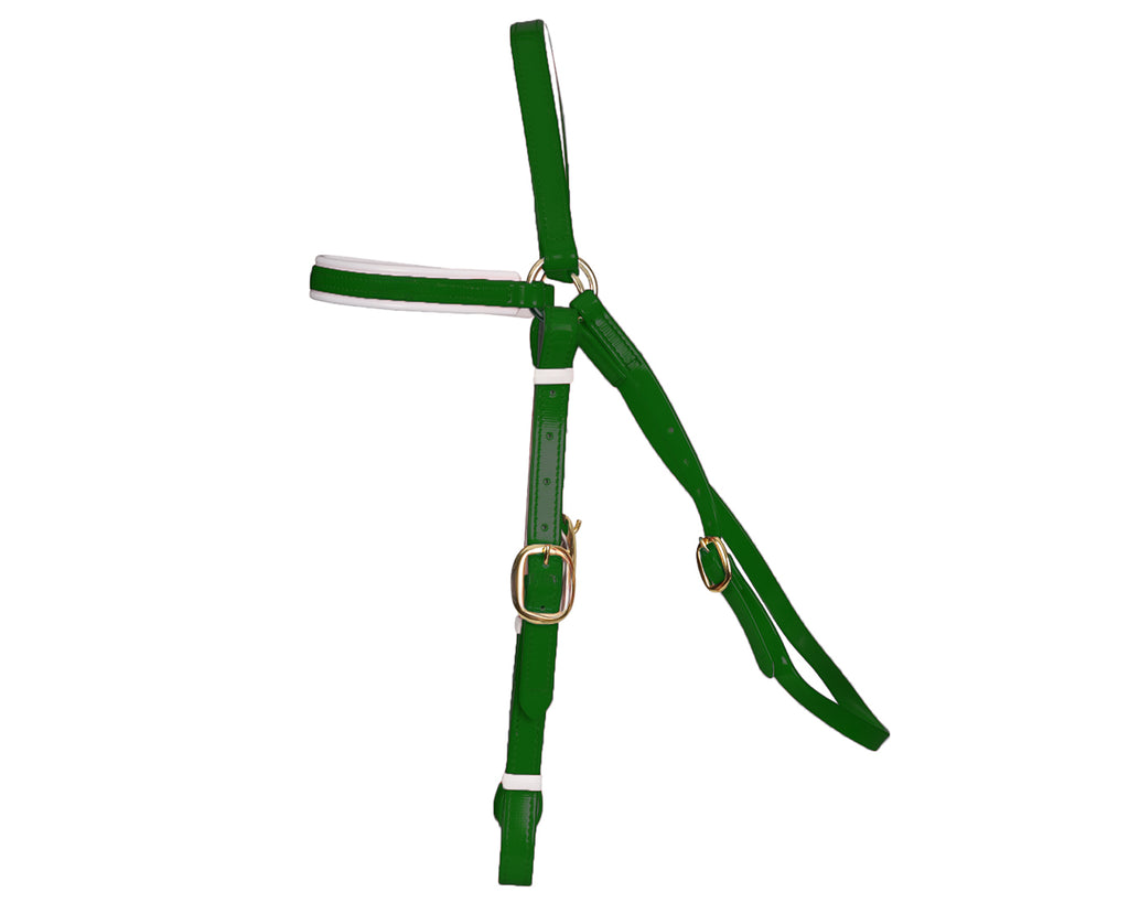 Horse Sense Barcoo Bridle Head - in Hunter Green/White with Brass Fittings