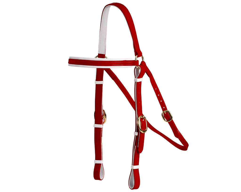 Horse Sense Barcoo Bridle Head - in Maroon/White with Brass Fittings