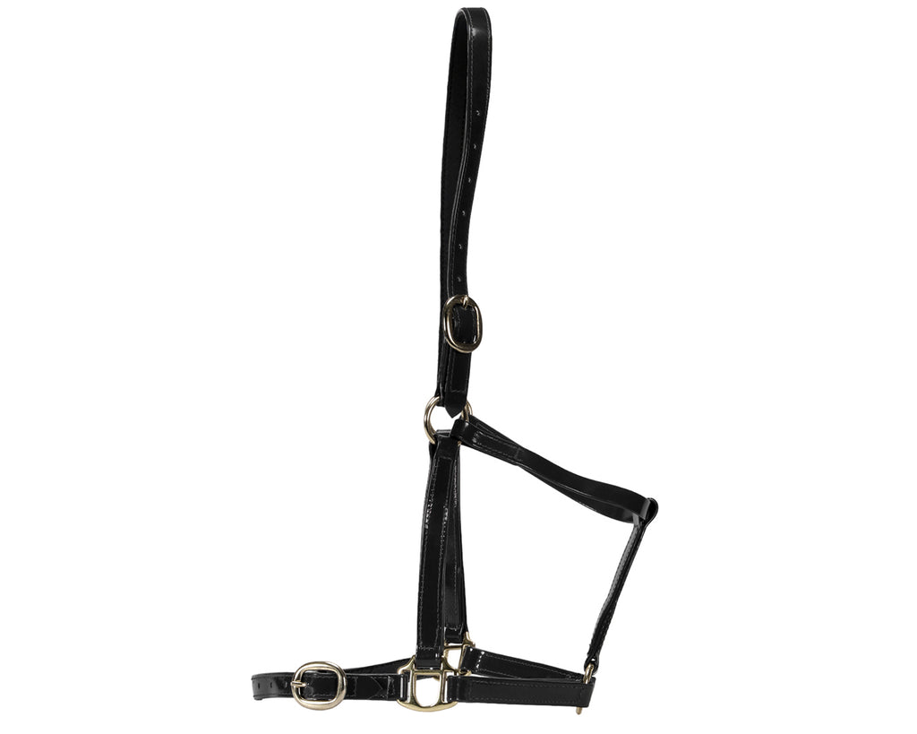 Horse Sense Designer Halter - Black