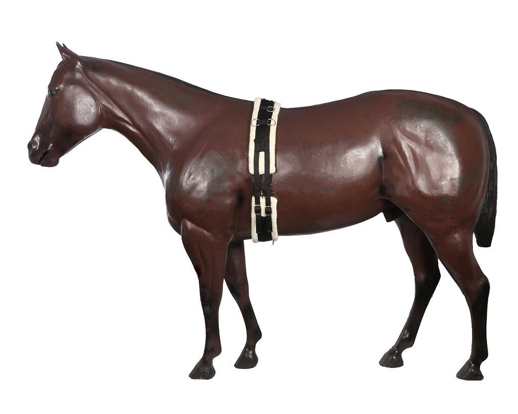 Equi-Prene Lunge Training Surcingle