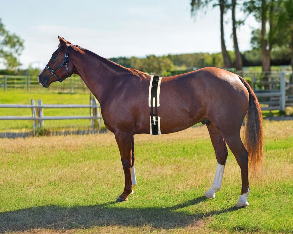 Equi-Prene Lunge Training Surcingle