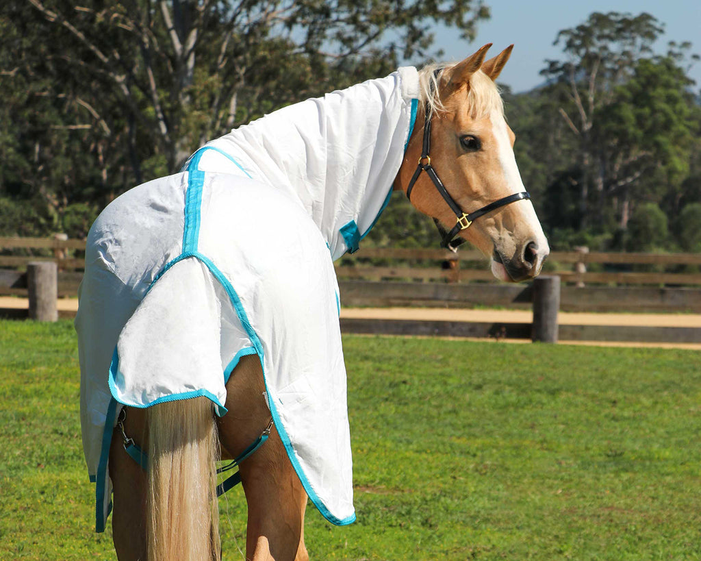 Kool Master Flag Horse Rug Combo White w/Turquoise - image from rear showing tail flag & leg straps