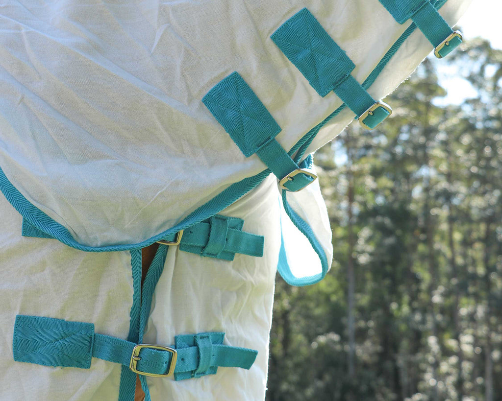 Kool Master Flag Horse Rug Combo White w/Turquoise - image showing chest straps & neck rug fastenings