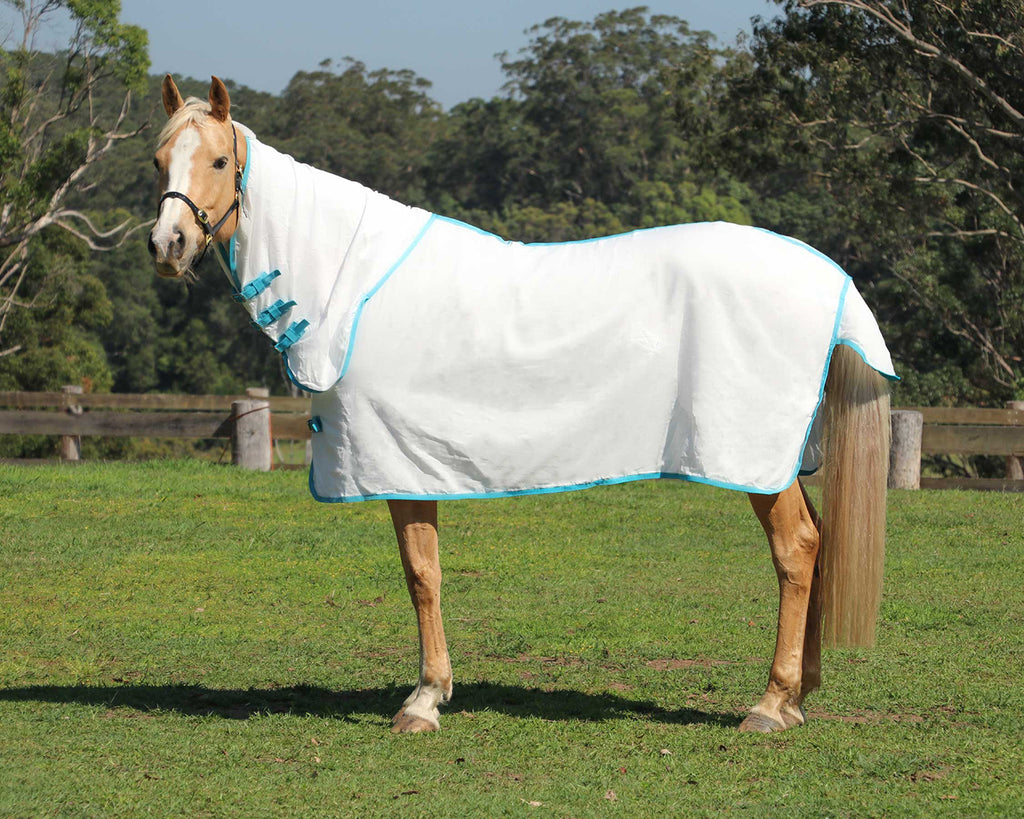 Kool Master Flag Horse Rug Combo White w/Turquoise - side view