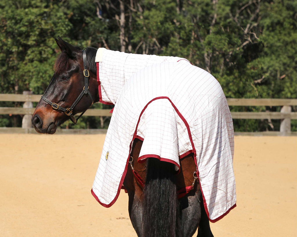 Kool Master Tear-Stop Horse Rug Combo White with Maroon trim - image from rear of horse, showing back of rug with tail flap