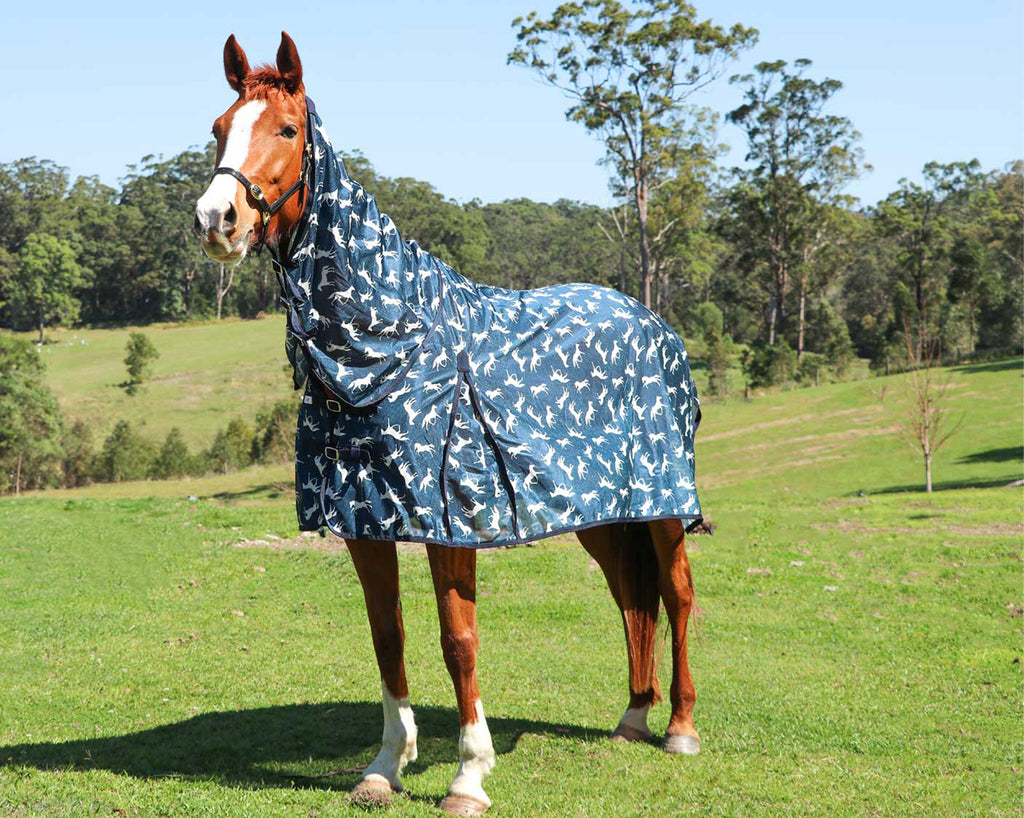 Horsemaster Fly Mesh Horse Print Combo - All-Over Horse Pattern