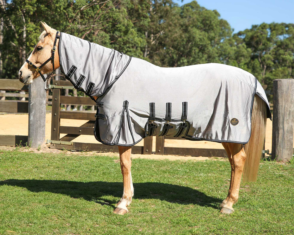 Conrad Ballistic Fly Mesh Horse Rug Combo - image showing side view of rug on horse