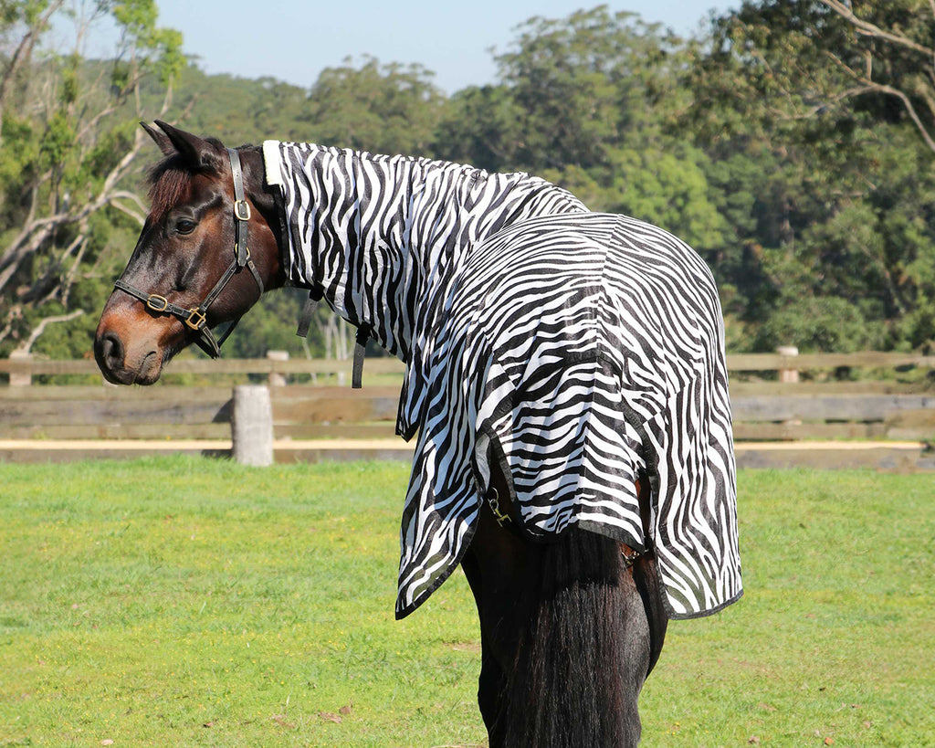 Kool Master Fly Mesh Horse Rug Combo - Zebra Print, image showing rear view on horse