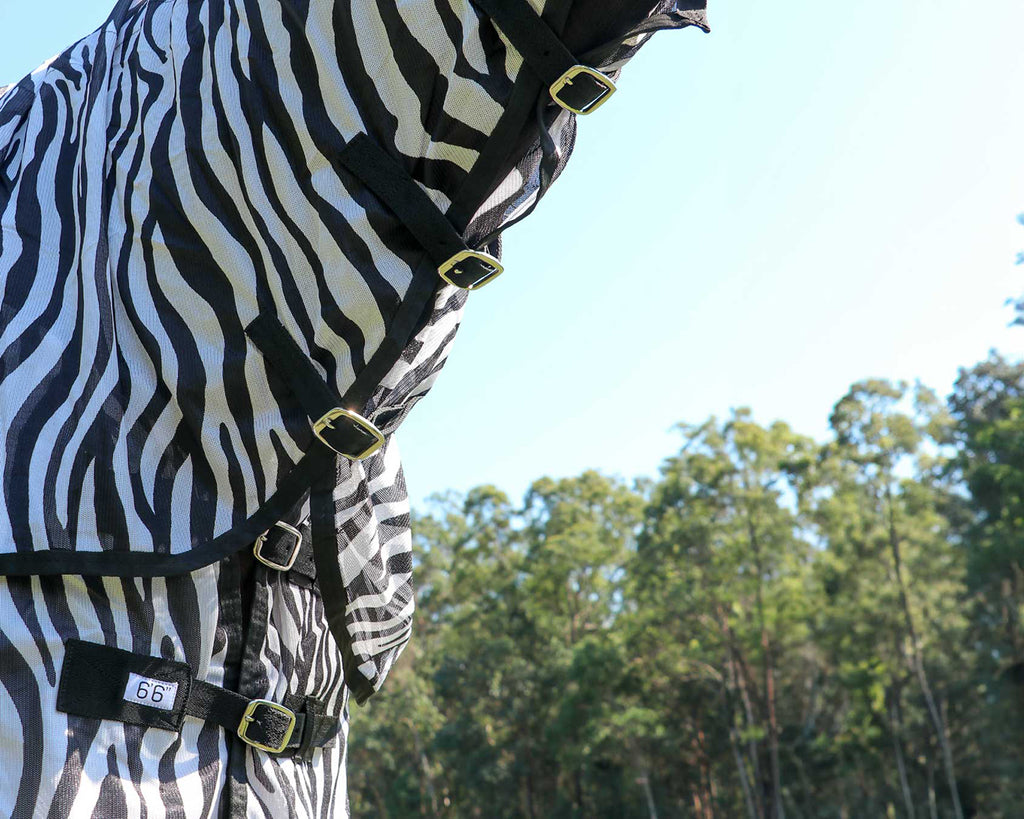 Kool Master Fly Mesh Horse Rug Combo - Zebra Print, image showing chest buckles & neck rug fastenings