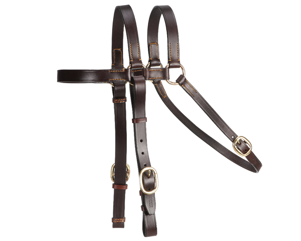 Ord River 7/8" Extended Head Barcoo Bridle