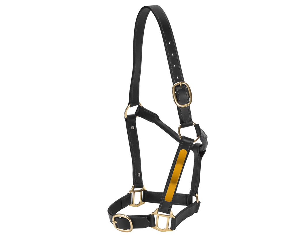 Jeremy & Lord Thoroughbred Halter w/Nameplate - Black