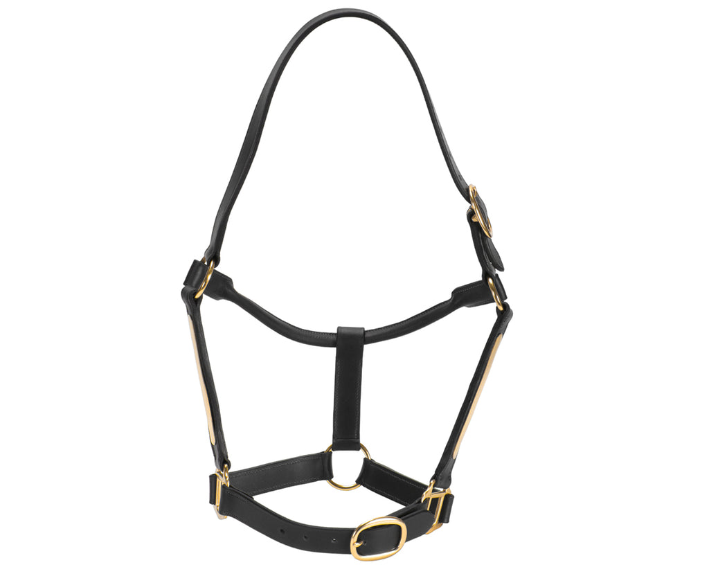 Jeremy & Lord Thoroughbred Halter w/Nameplate - Black