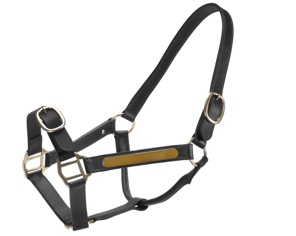 Jeremy & Lord Thoroughbred Halter w/Nameplate - Black