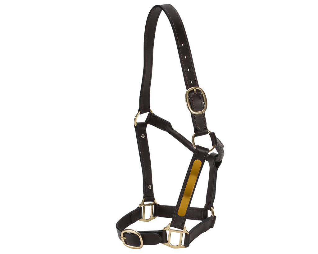 Jeremy & Lord Thoroughbred Halter w/Nameplate - Brown