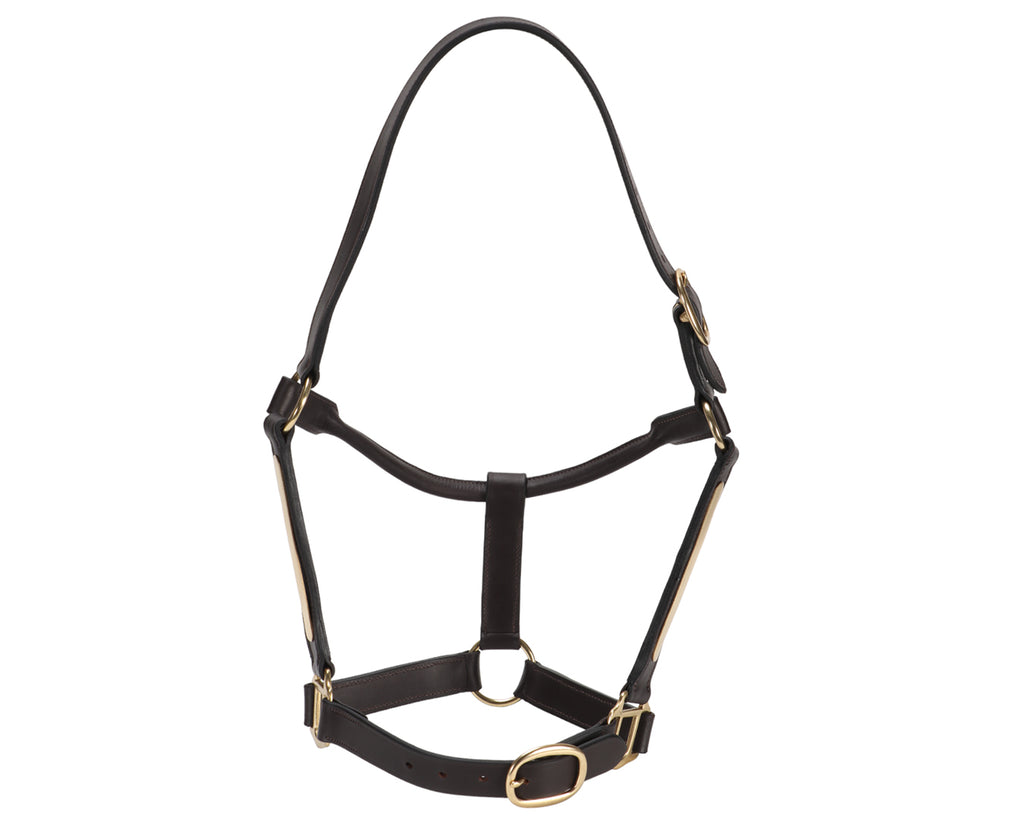 Jeremy & Lord Thoroughbred Halter w/Nameplate - Brown