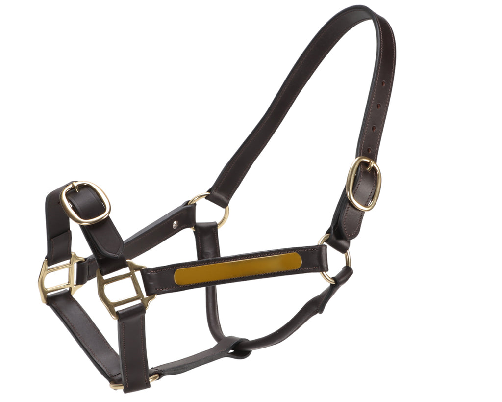 Jeremy & Lord Thoroughbred Halter w/Nameplate - Brown