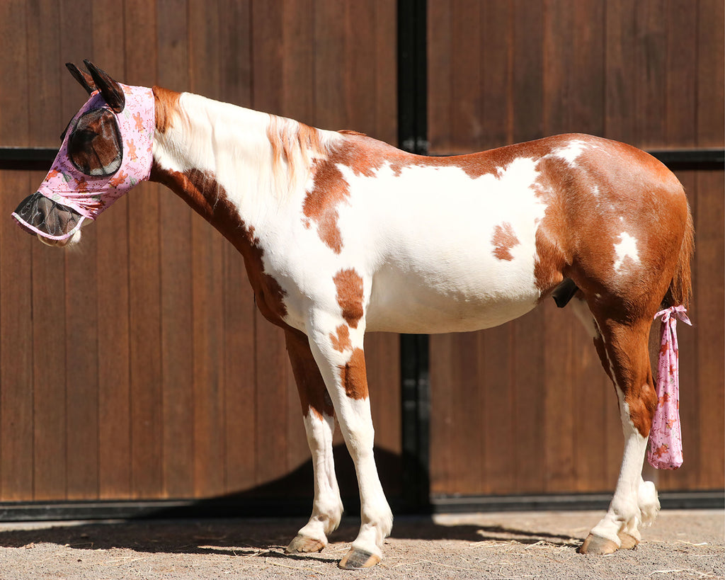 Kool Master Lycra Pull On Fly Mask with Skirt in Gingerbread Cowboy Print