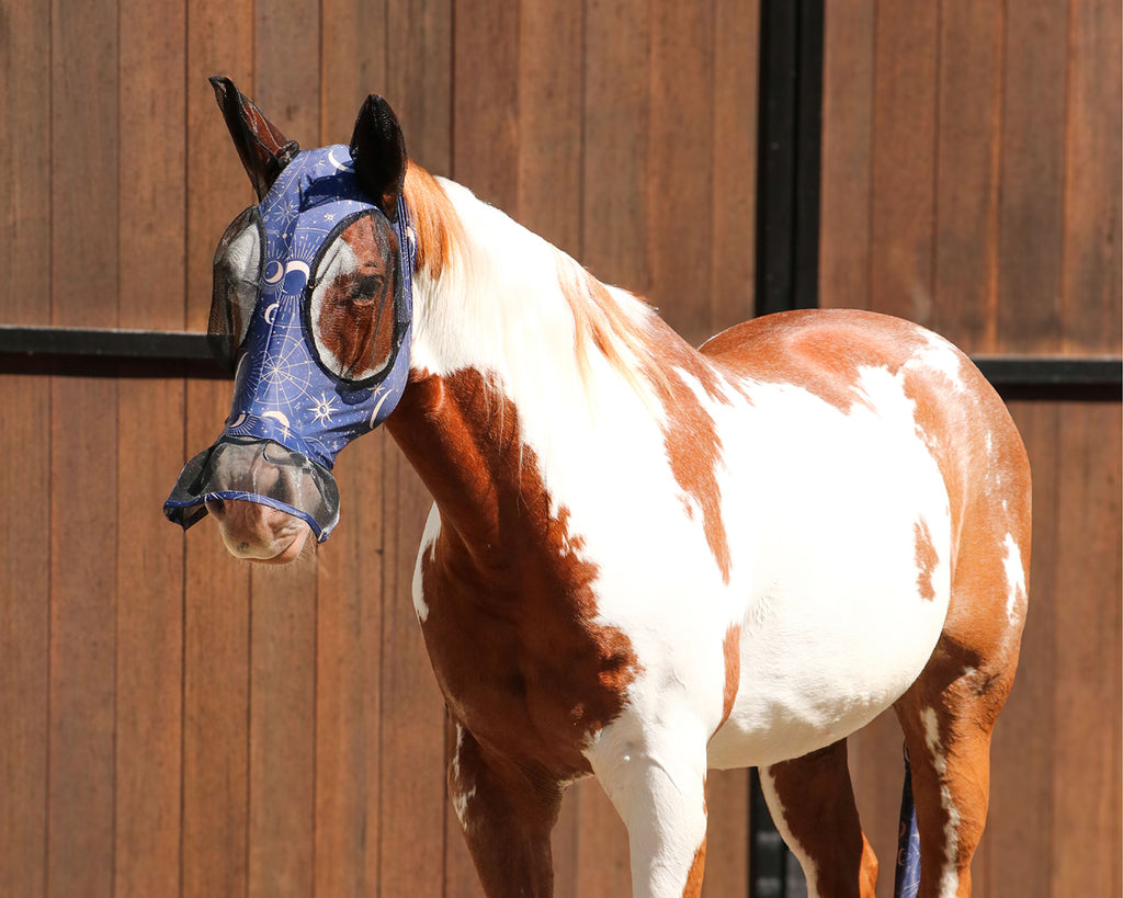 Kool Master Lycra Pull On Fly Mask with Skirt in  Cellestial Star Cowboy Print