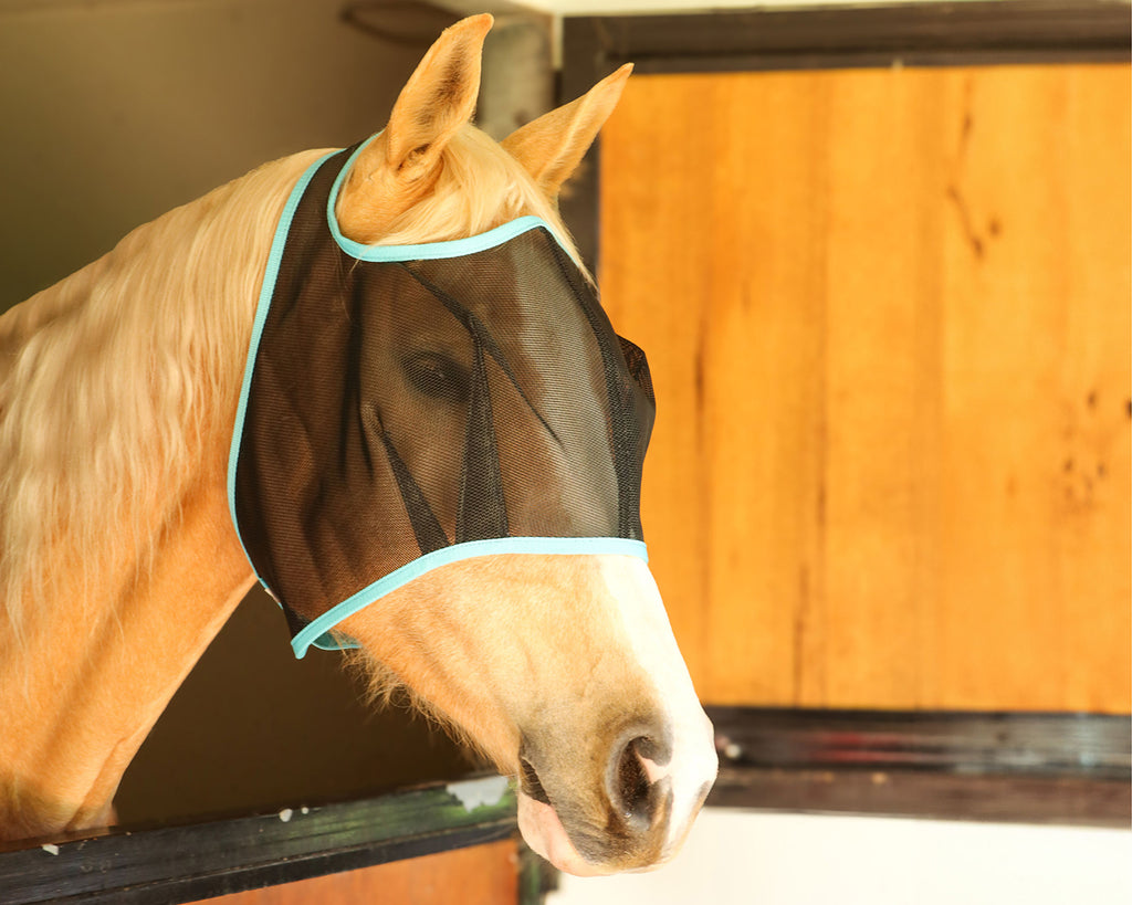 Bobby Black Mesh Fly Mask Turquoise