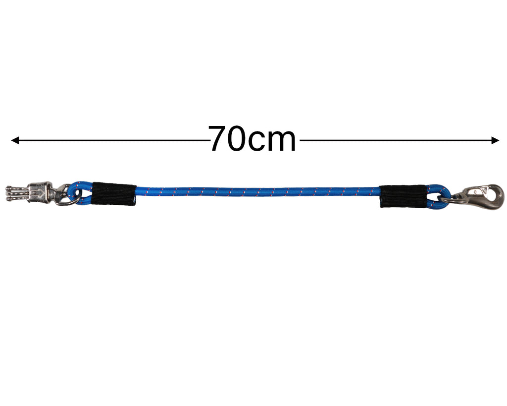 Bungee Trailer Tie - Blue